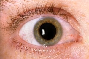 Diabetic eye disease treatment in Chicago